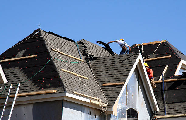 Best Metal Roofing Contractor  in Park Ridge, NJ