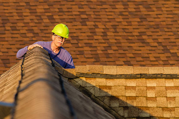 Best Roof Maintenance Services  in Park Ridge, NJ