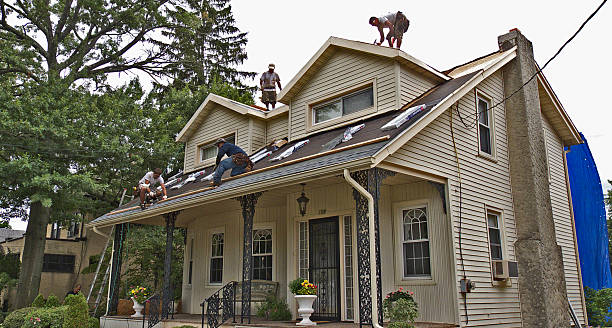 Best Storm Damage Roof Repair  in Park Ridge, NJ