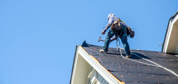 Best Roof Gutter Cleaning  in Park Ridge, NJ
